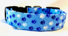 Dog Collar